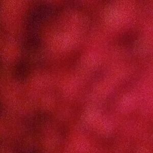 Meet your Posher, Nakesha